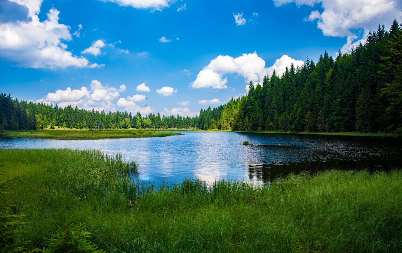 critiques sur le projet d'irrigation du lac diefenbaker