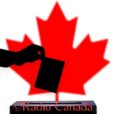 Vote au Canada : élection des députés