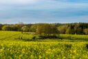 Traitement des pesticides des eaux
