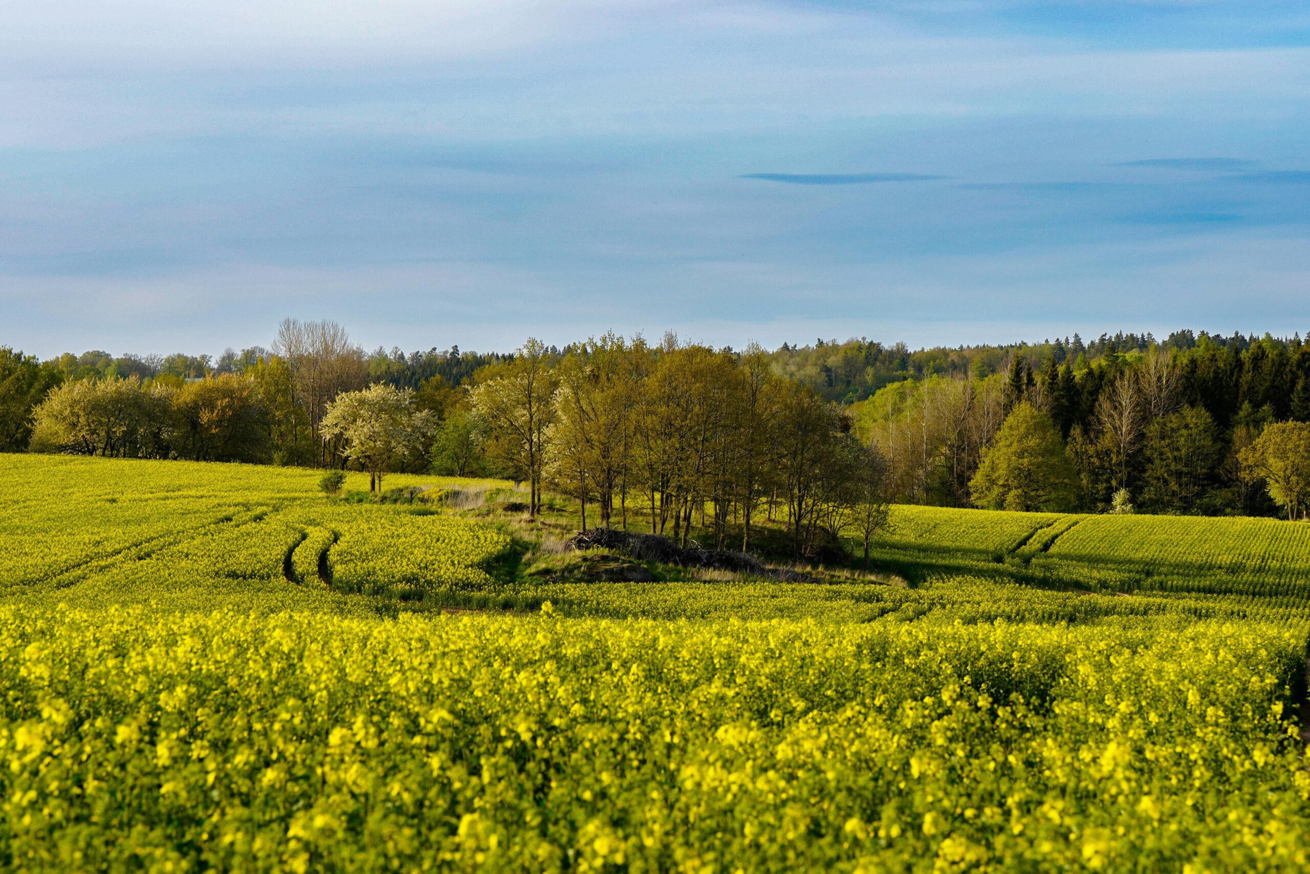 Traitement des pesticides des eaux